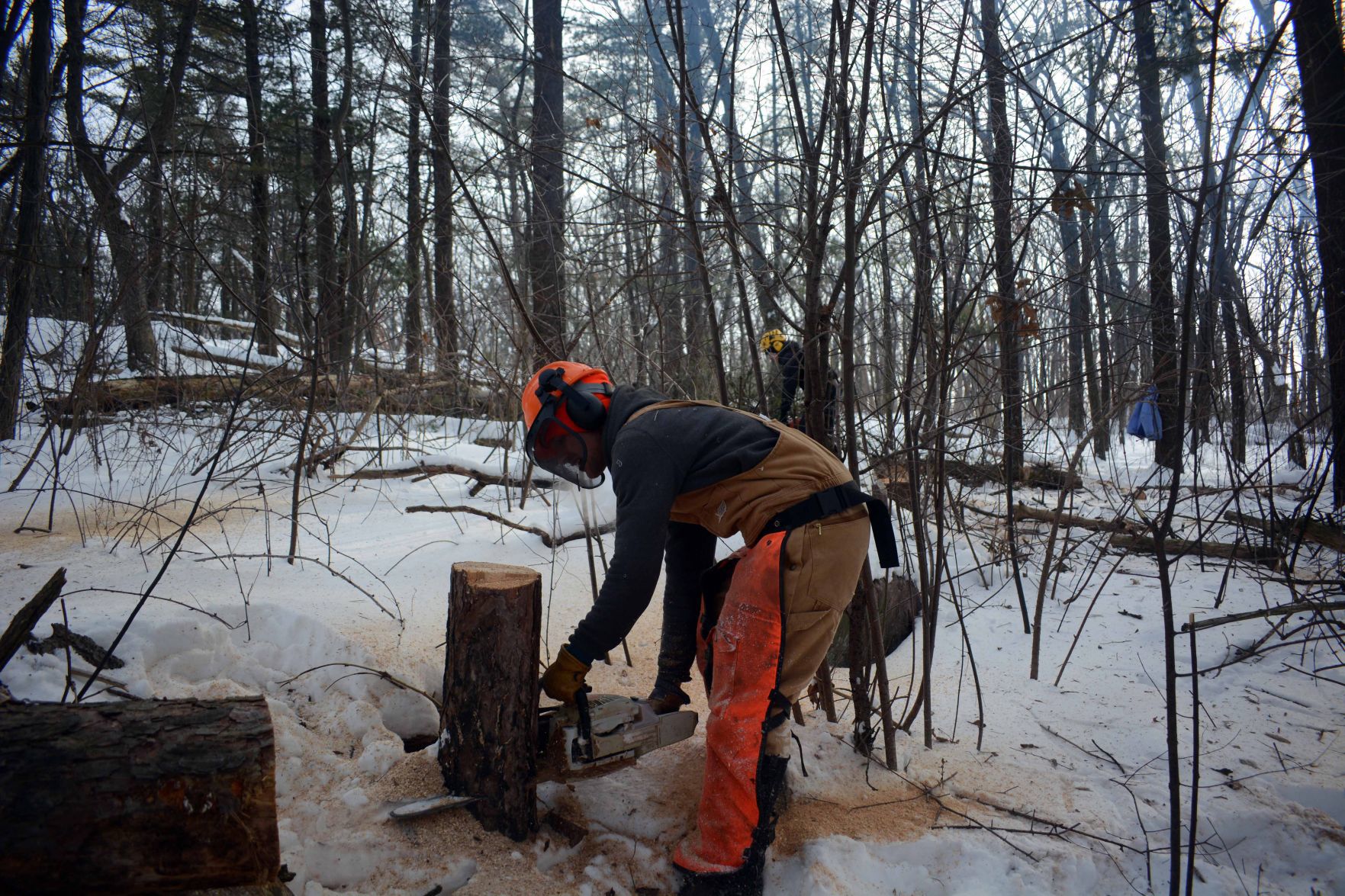 Devil's Lake east bluff stewardship work